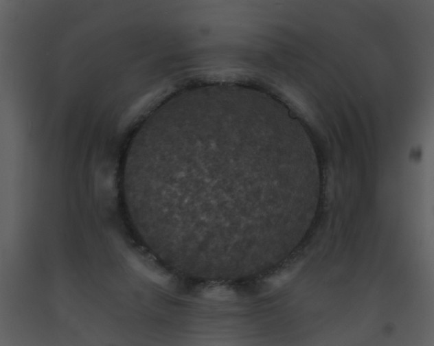 X0000093580258200710221509