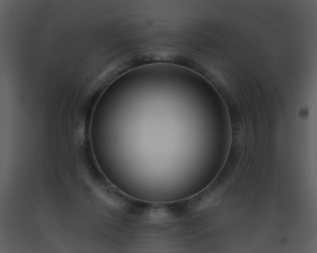 X0000093580262200710221509