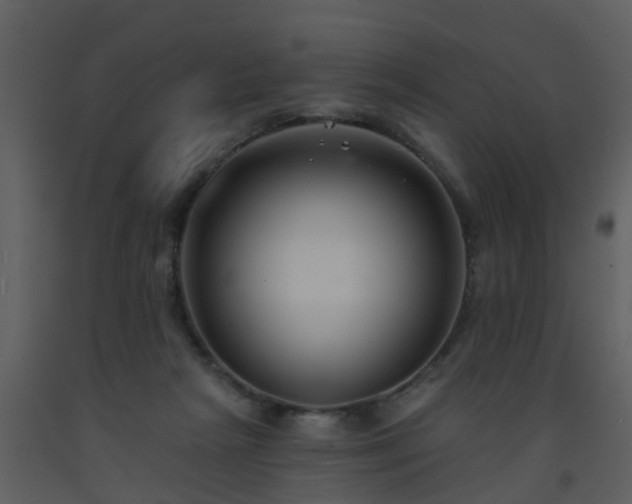 X0000093580265200710221509