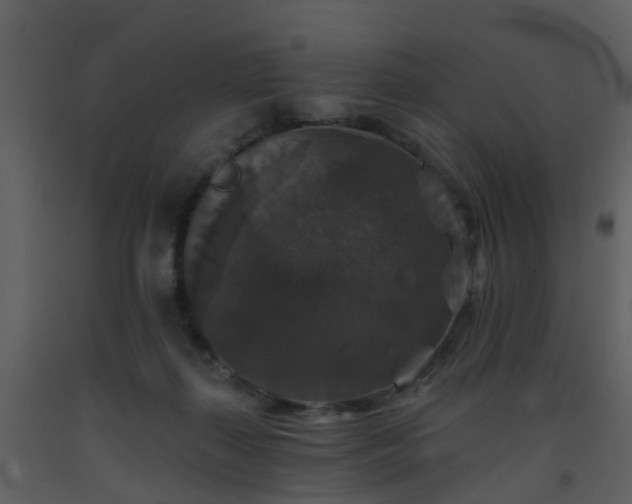 X0000093580267200710221509