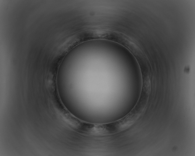 X0000093580270200710221509