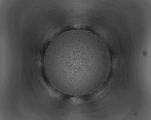 X0000093580272200710221509