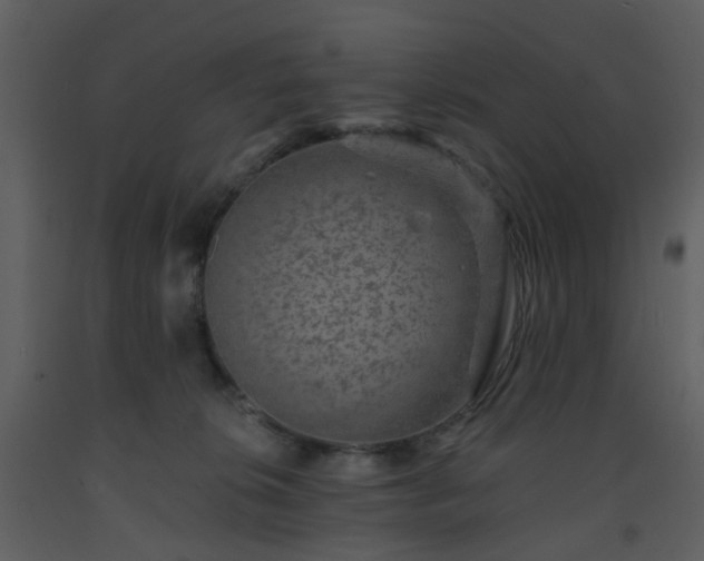 X0000093580276200710221509