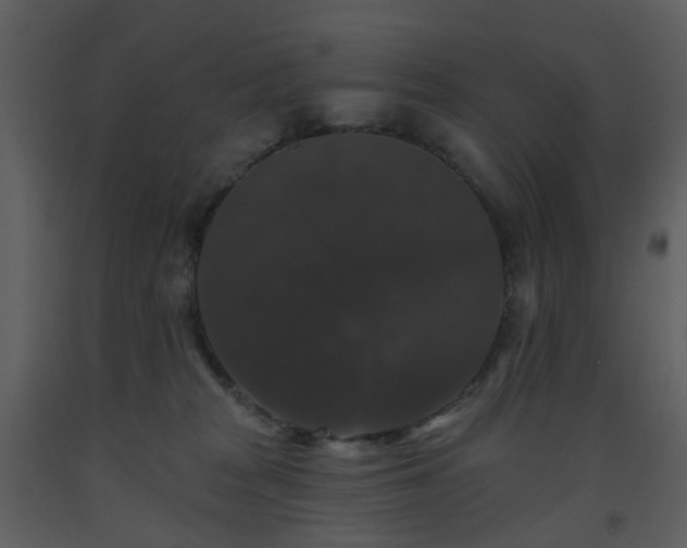 X0000093580277200710221509