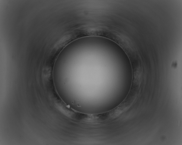 X0000093580278200710221509