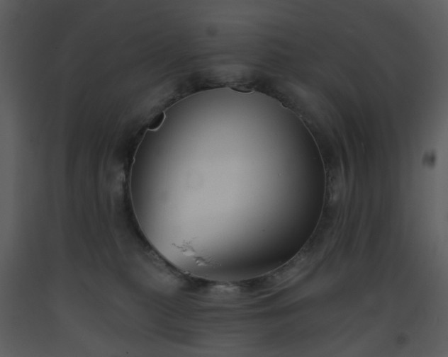 X0000093580279200710221509