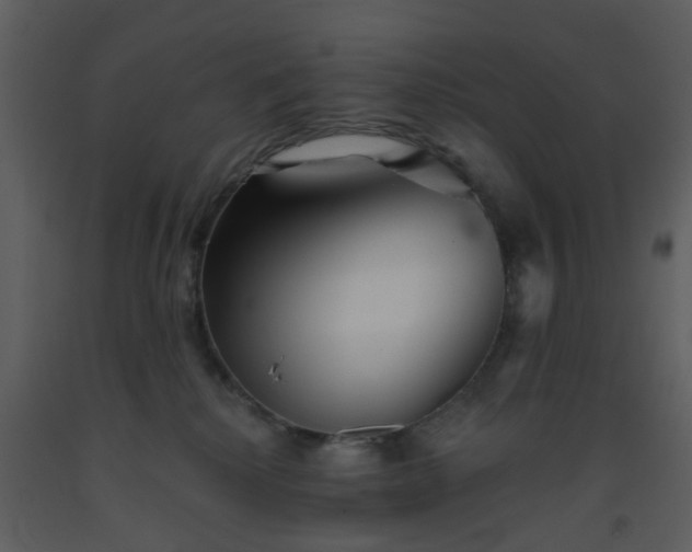 X0000093580280200710221509