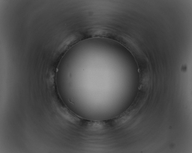 X0000093580282200710221509