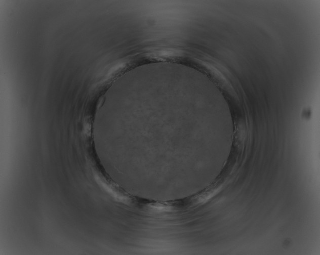 X0000093580284200710221509