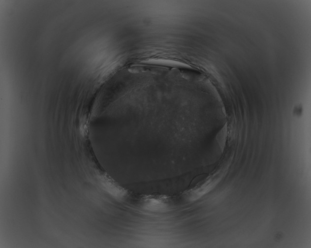 X0000093580285200710221509