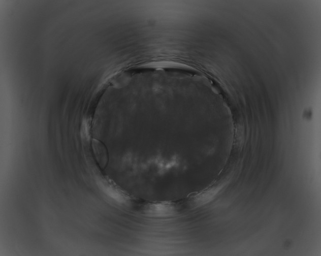 X0000093580286200710221509