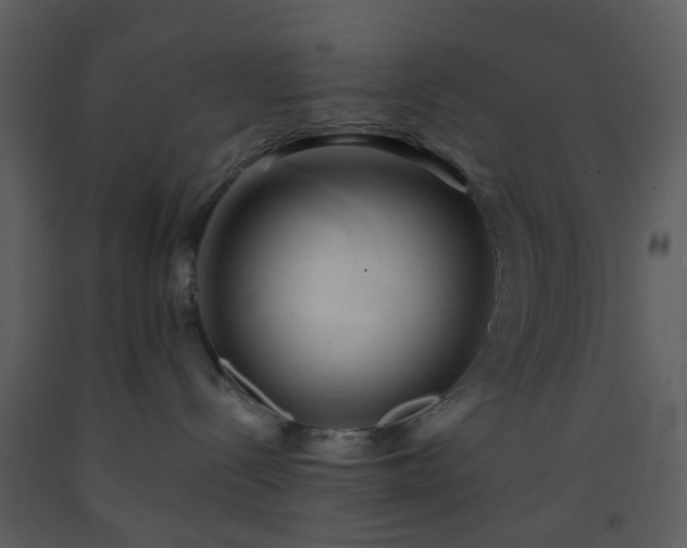 X0000093580288200710221509