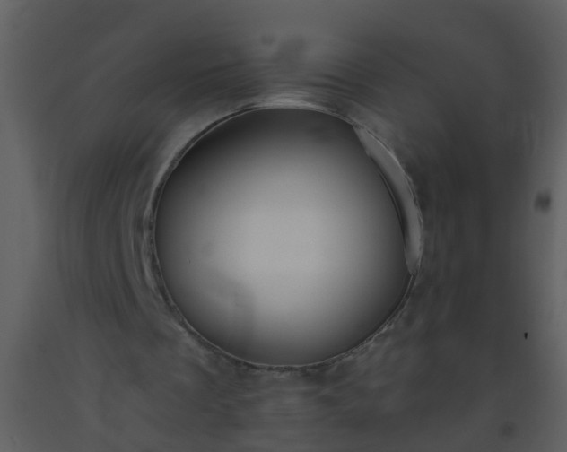 X0000093580289200710221509