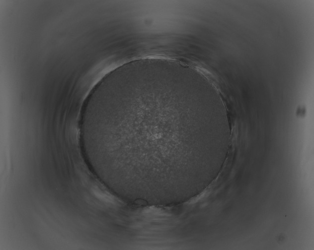 X0000093580290200710221509