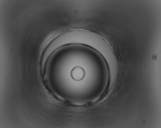X0000093580293200710221509
