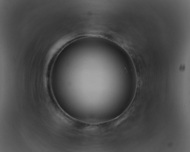 X0000093580294200710221509