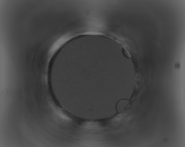 X0000093580296200710221509