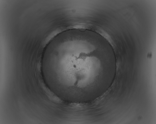 X0000093580297200710221509