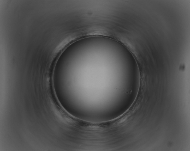 X0000093580298200710221509