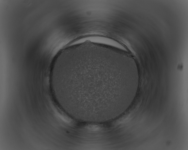 X0000093580299200710221509