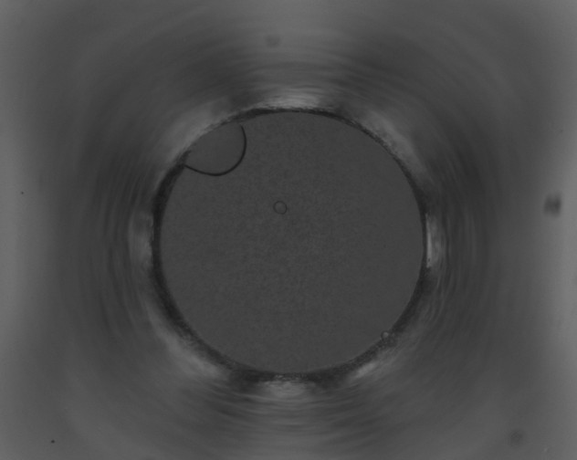 X0000093580300200710221509
