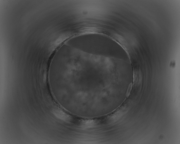 X0000093580301200710221509