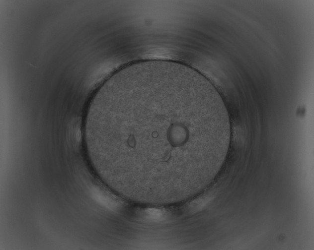 X0000093580302200710221509