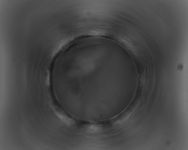 X0000093580303200710221509