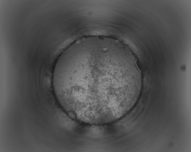 X0000093580305200710221509