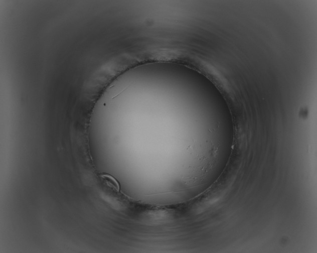 X0000093580307200710221509