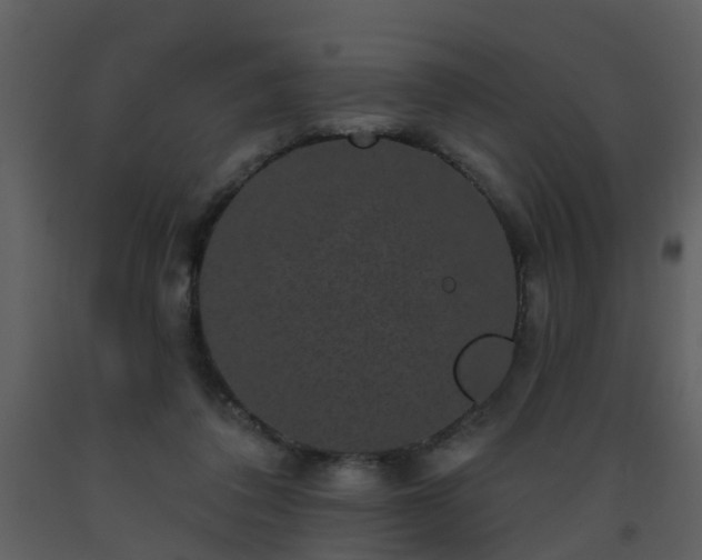 X0000093580308200710221509