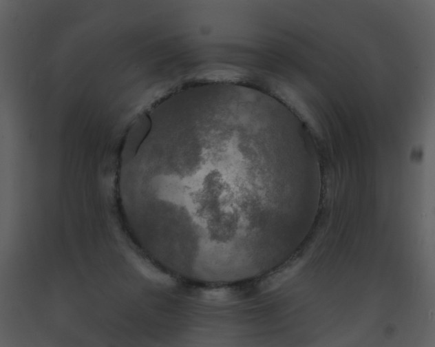 X0000093580309200710221509