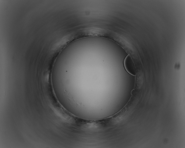 X0000093580310200710221509
