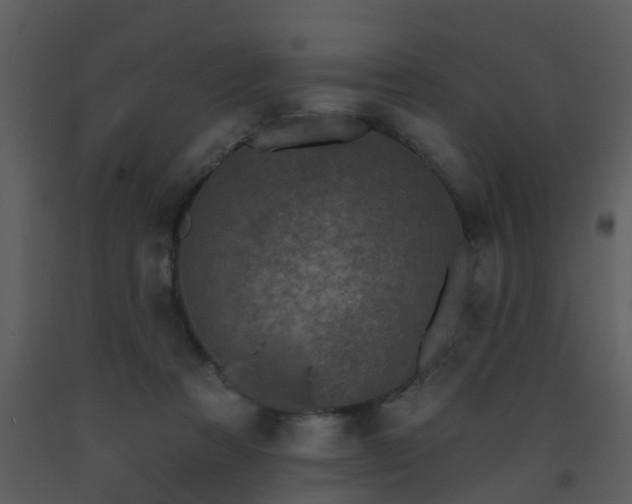 X0000093580313200710221508