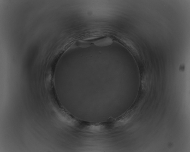 X0000093580314200710221508