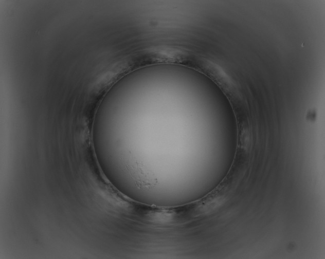 X0000093580318200710221508