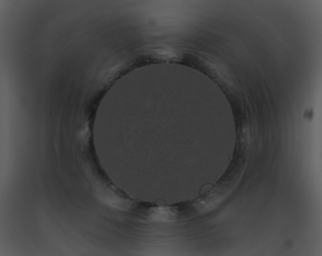 X0000093580320200710221508
