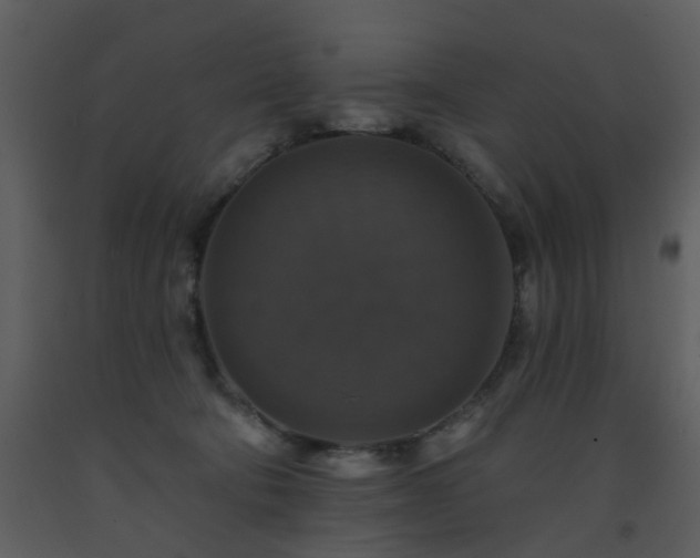 X0000093580322200710221508