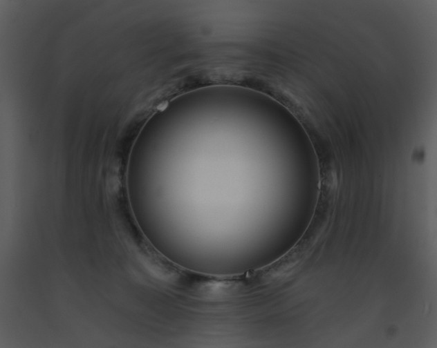 X0000093580323200710221508