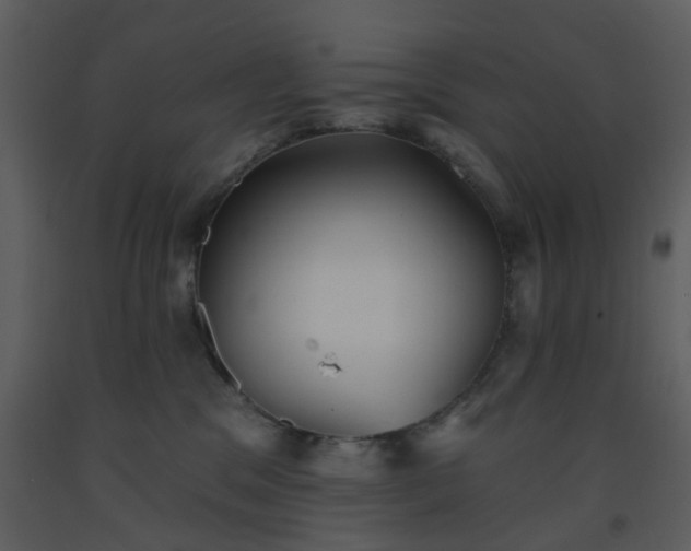 X0000093580329200710221508