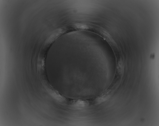 X0000093580330200710221508