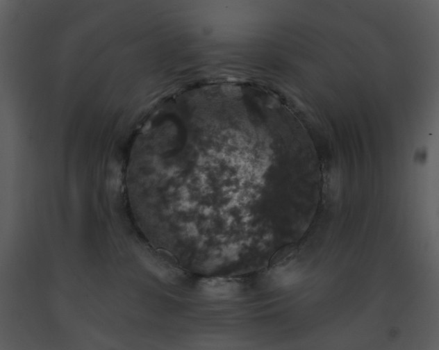 X0000093580331200710221508