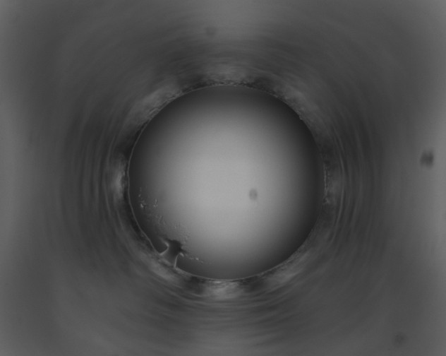 X0000093580334200710221508