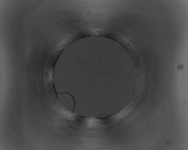 X0000093580336200710221508