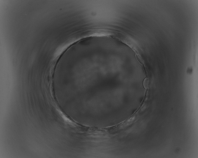 X0000093580337200710221507