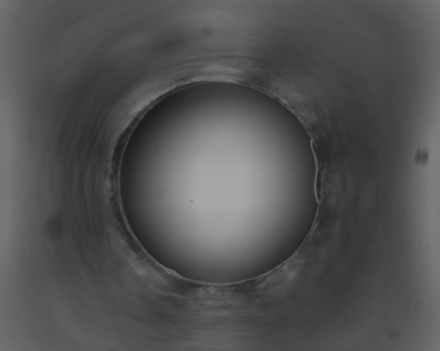 X0000093580338200710221508