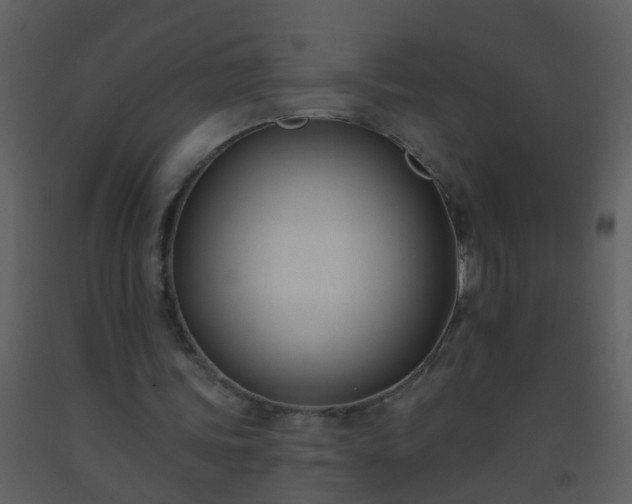 X0000093580339200710221508