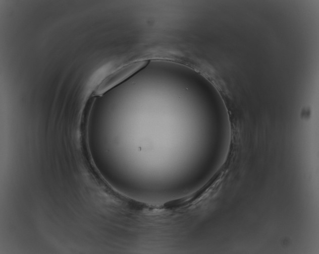 X0000093580340200710221508