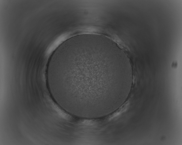 X0000093580341200710221508