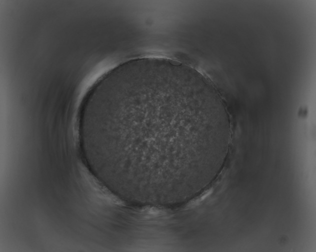 X0000093580343200710221508